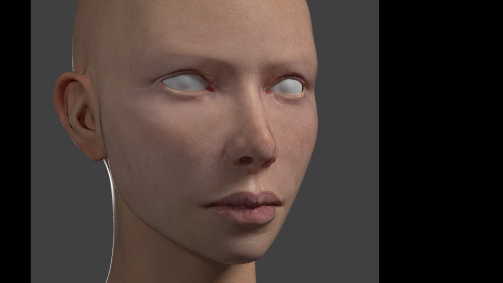 Skin texturing demonstration. preview image 1